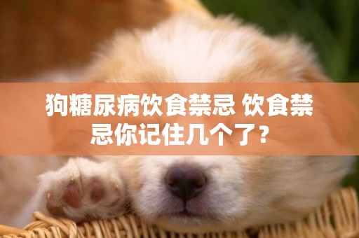 狗糖尿病飲食禁忌 飲食禁忌你記住幾個了？
