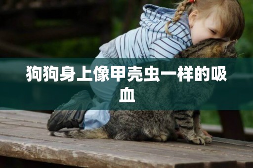 狗狗身上像甲殼蟲一樣的吸血