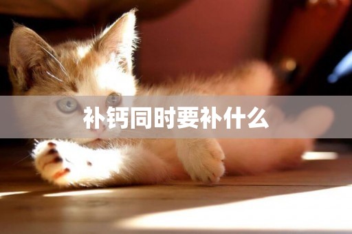 補鈣同時要補什么