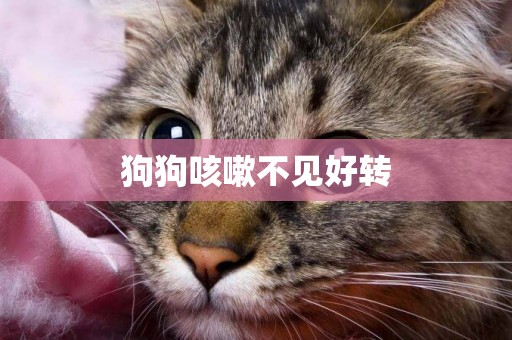 狗狗咳嗽不見好轉