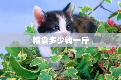 糧食多少錢一斤