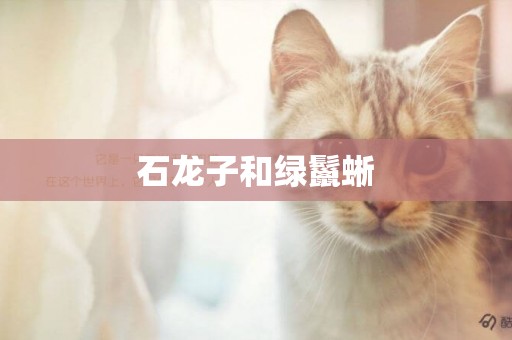 石龍子和綠鬣蜥