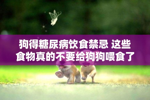 狗得糖尿病飲食禁忌 這些食物真的不要給狗狗喂食了