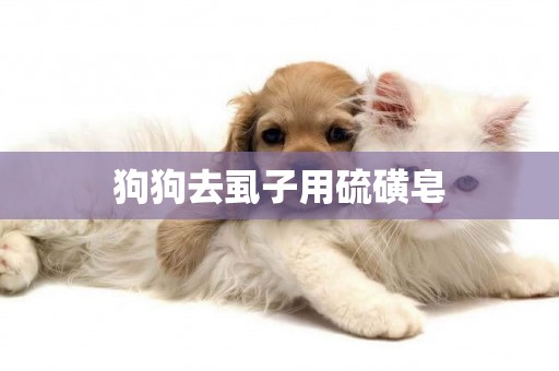 狗狗去虱子用硫磺皂