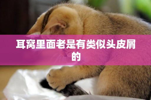 耳窩里面老是有類似頭皮屑的