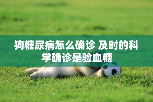 狗糖尿病怎么確診 及時的科學確診是驗血糖