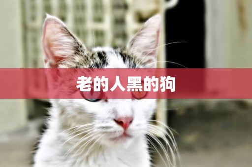 老的人黑的狗