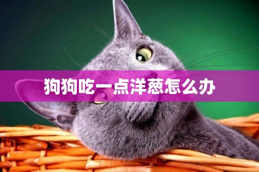 狗狗吃一點洋蔥怎么辦