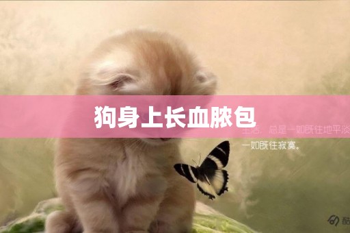 狗身上長血膿包