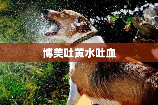 博美吐黃水吐血