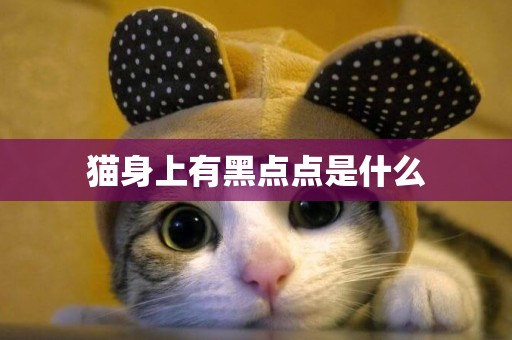 貓身上有黑點點是什么