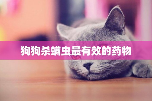 狗狗殺螨蟲最有效的藥物