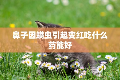 鼻子因螨蟲引起變紅吃什么藥能好
