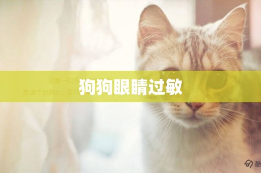 狗狗眼睛過敏
