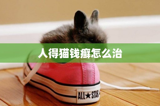 人得貓錢癬怎么治