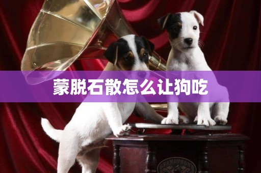 蒙脫石散怎么讓狗吃