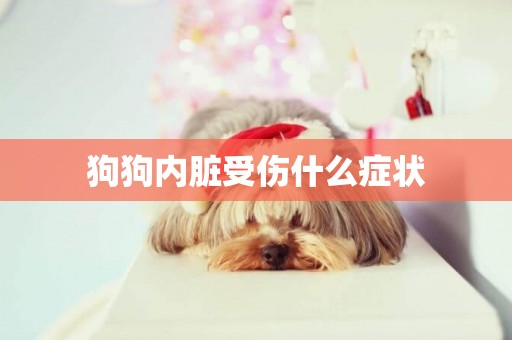 狗狗內臟受傷什么癥狀