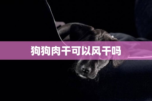 狗狗肉干可以風干嗎