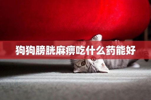 狗狗膀胱麻痹吃什么藥能好