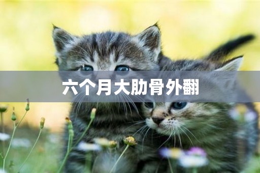 六個月大肋骨外翻