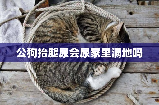 公狗抬腿尿會尿家里滿地嗎