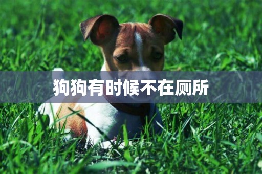 狗狗有時候不在廁所