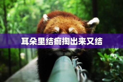 耳朵里結痂掏出來又結