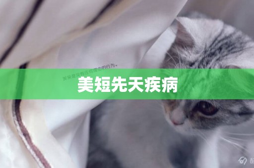 美短先天疾病