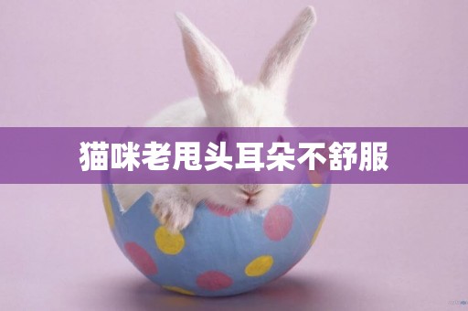 貓咪老甩頭耳朵不舒服