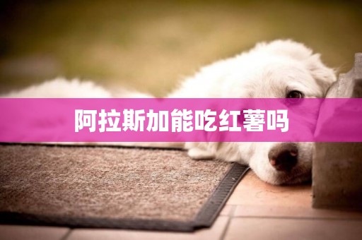阿拉斯加能吃紅薯嗎