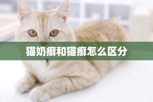 貓奶癬和貓癬怎么區分