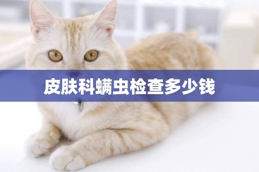 皮膚科螨蟲檢查多少錢