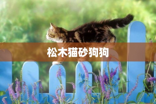 松木貓砂狗狗