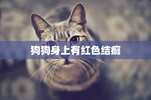 狗狗身上有紅色結痂