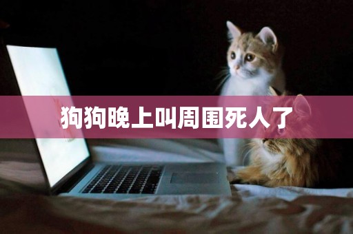 狗狗晚上叫周圍死人了