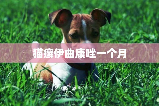 貓癬伊曲康唑一個月