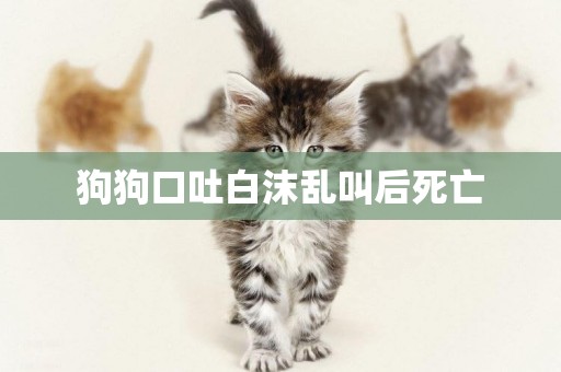 狗狗口吐白沫亂叫后死亡