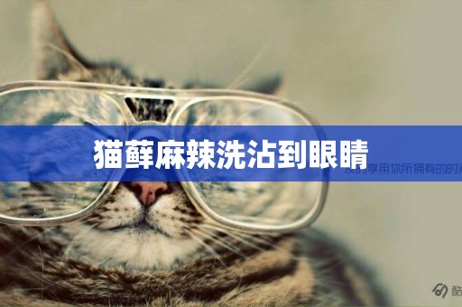 貓蘚麻辣洗沾到眼睛