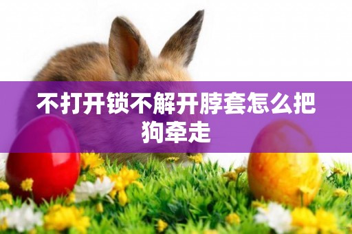 不打開鎖不解開脖套怎么把狗牽走