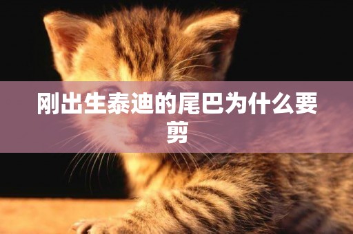 剛出生泰迪的尾巴為什么要剪