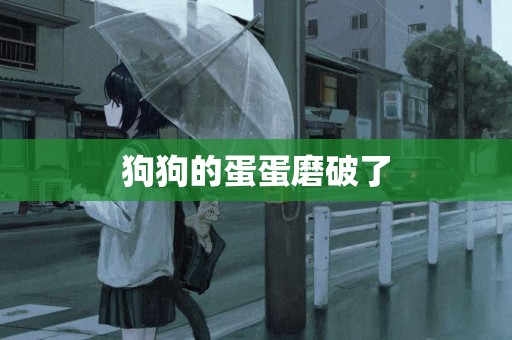 狗狗的蛋蛋磨破了