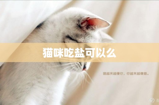 貓咪吃鹽可以么