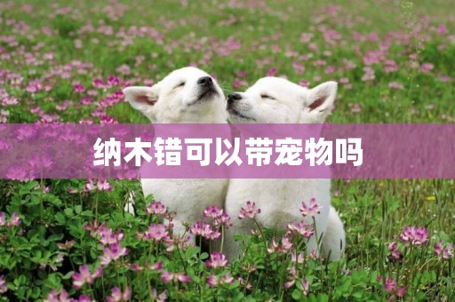 納木錯可以帶寵物嗎