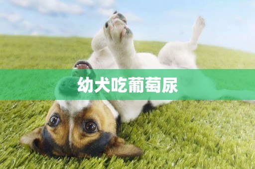 幼犬吃葡萄尿