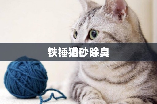 鐵錘貓砂除臭