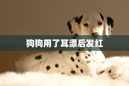 狗狗用了耳漂后發紅