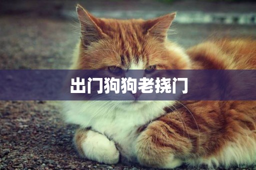 出門狗狗老撓門