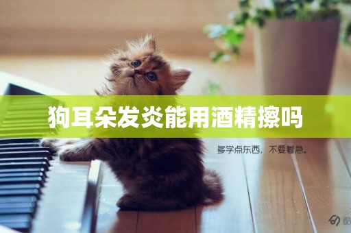 狗耳朵發炎能用酒精擦嗎