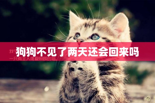 狗狗不見了兩天還會回來嗎
