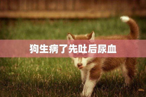 狗生病了先吐后尿血